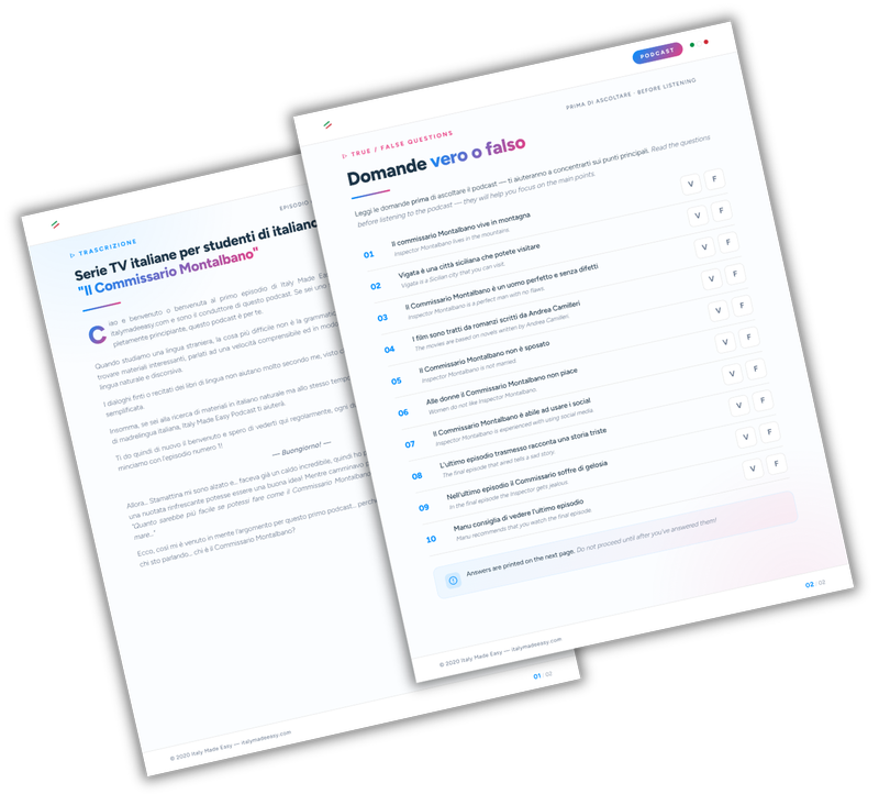 Transcript and comprehension questions PDF preview