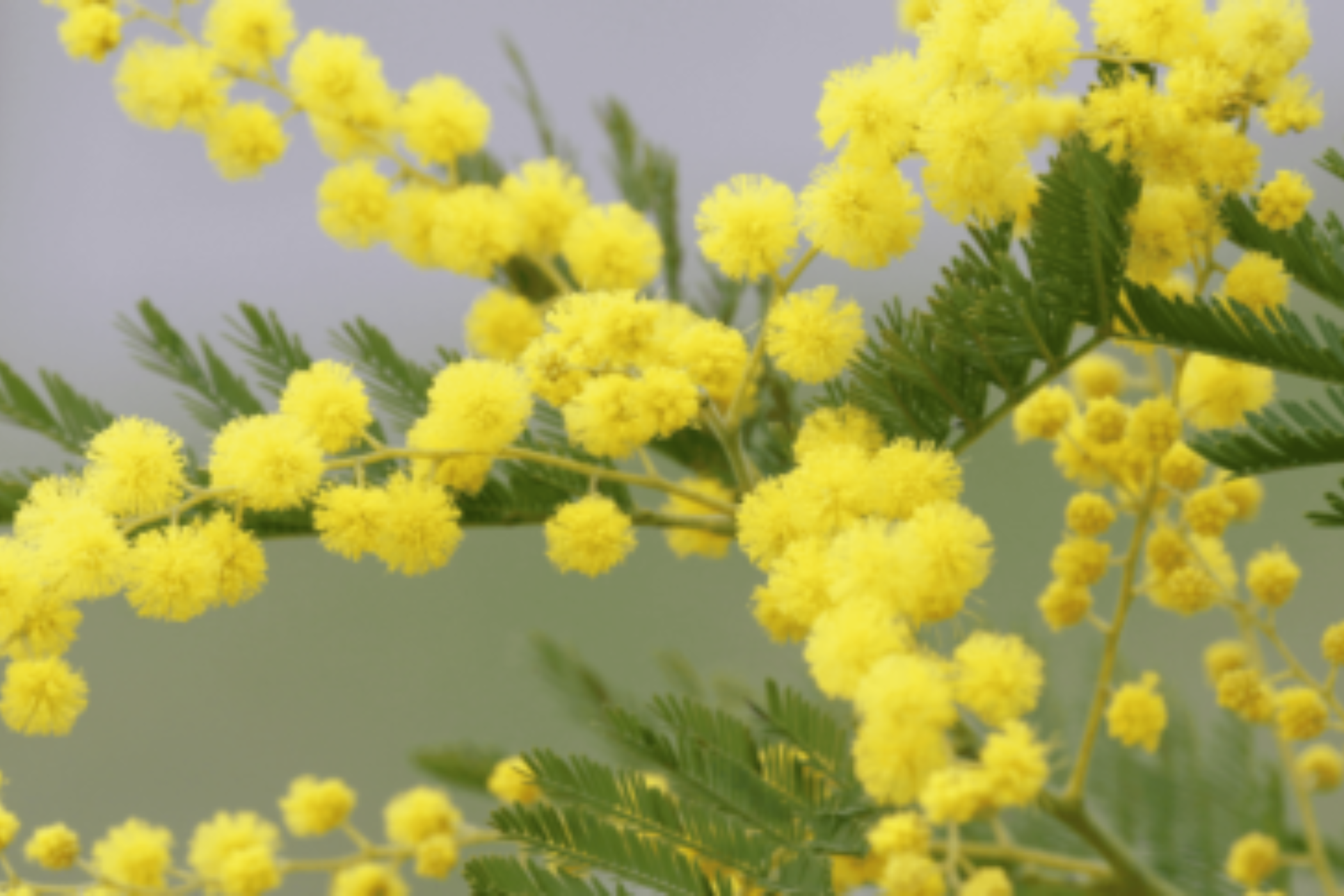 Blog image 2100x1400px (34) Blog image 2100x1400px (34)