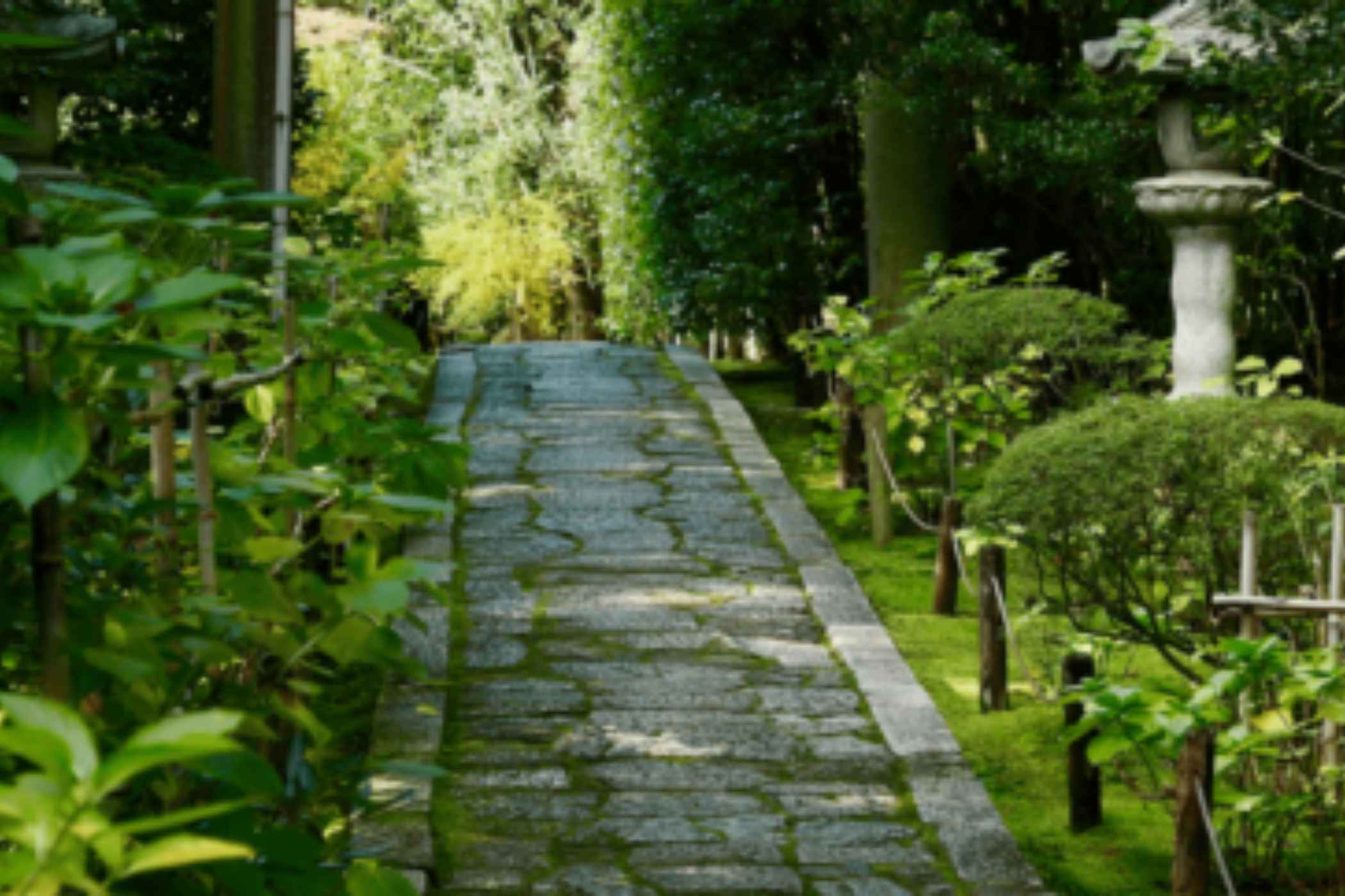 Blog image 2100x1400px (62) Blog image 2100x1400px (62)