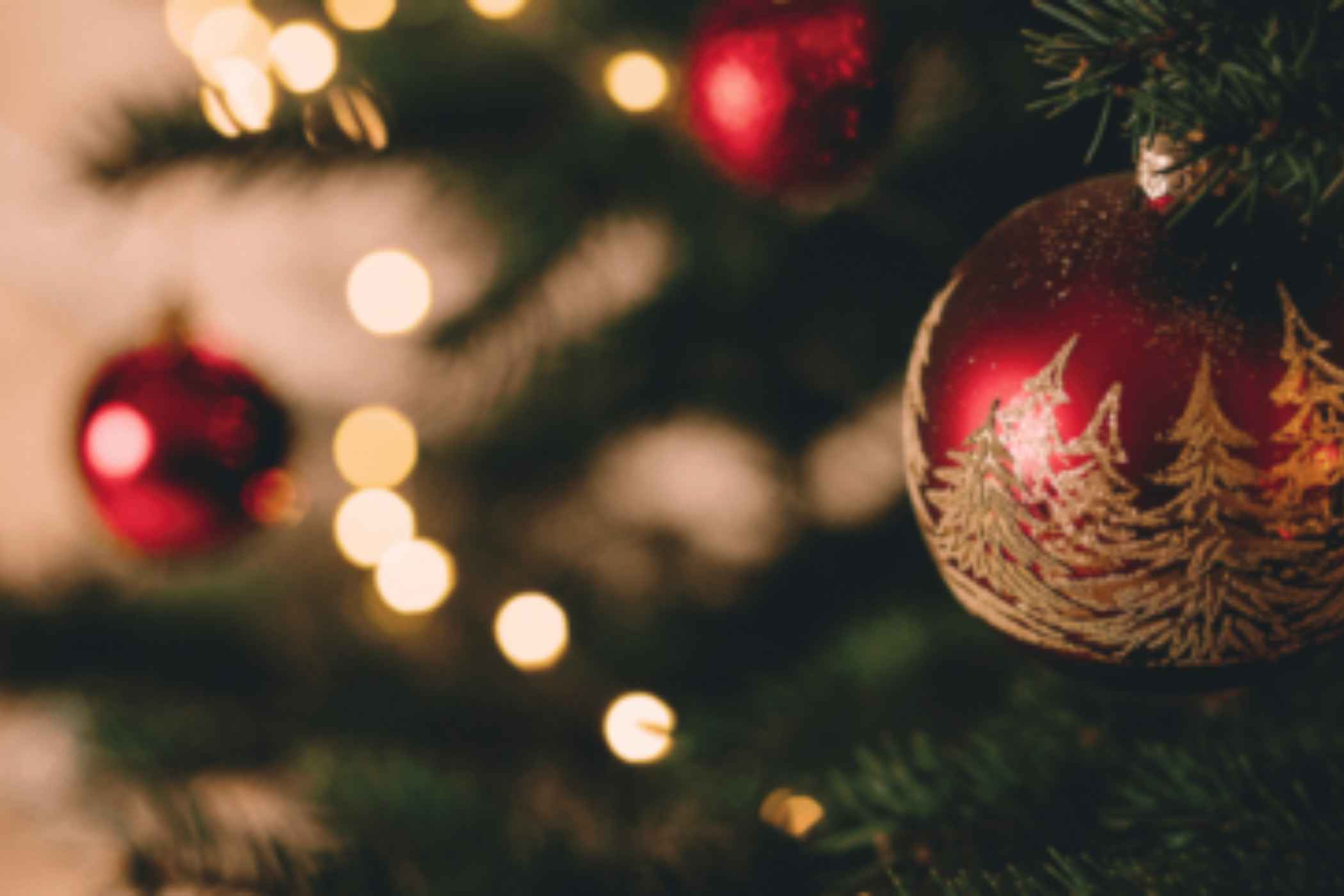 Blog image 2100x1400px (73)