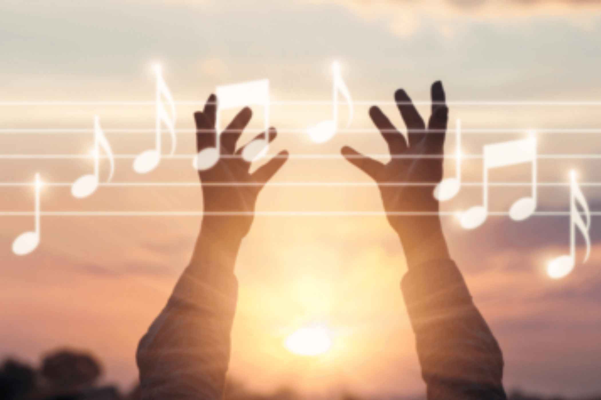 Blog image 2100x1400px (74)