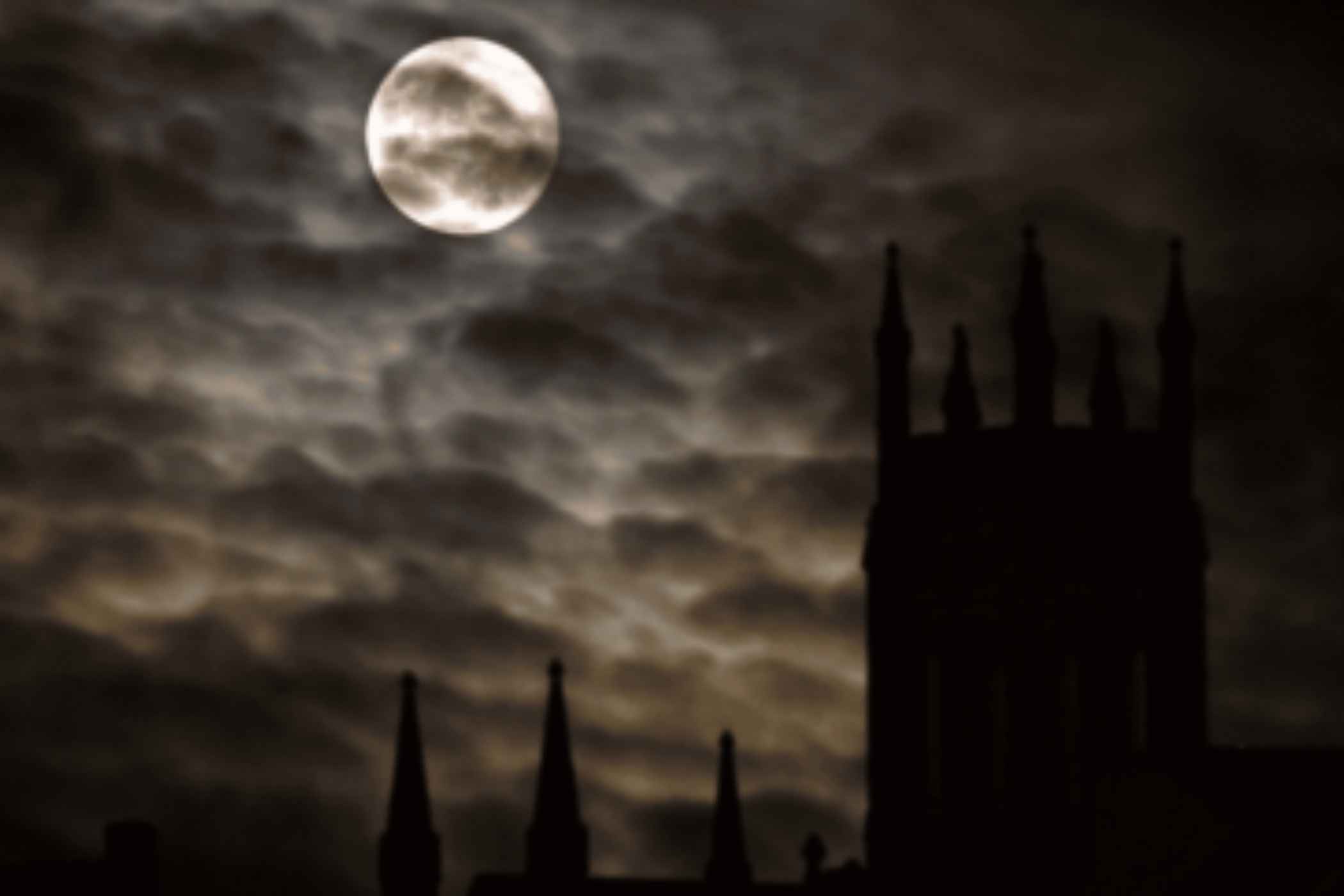 Blog image 2100x1400px (76) Blog image 2100x1400px (76)