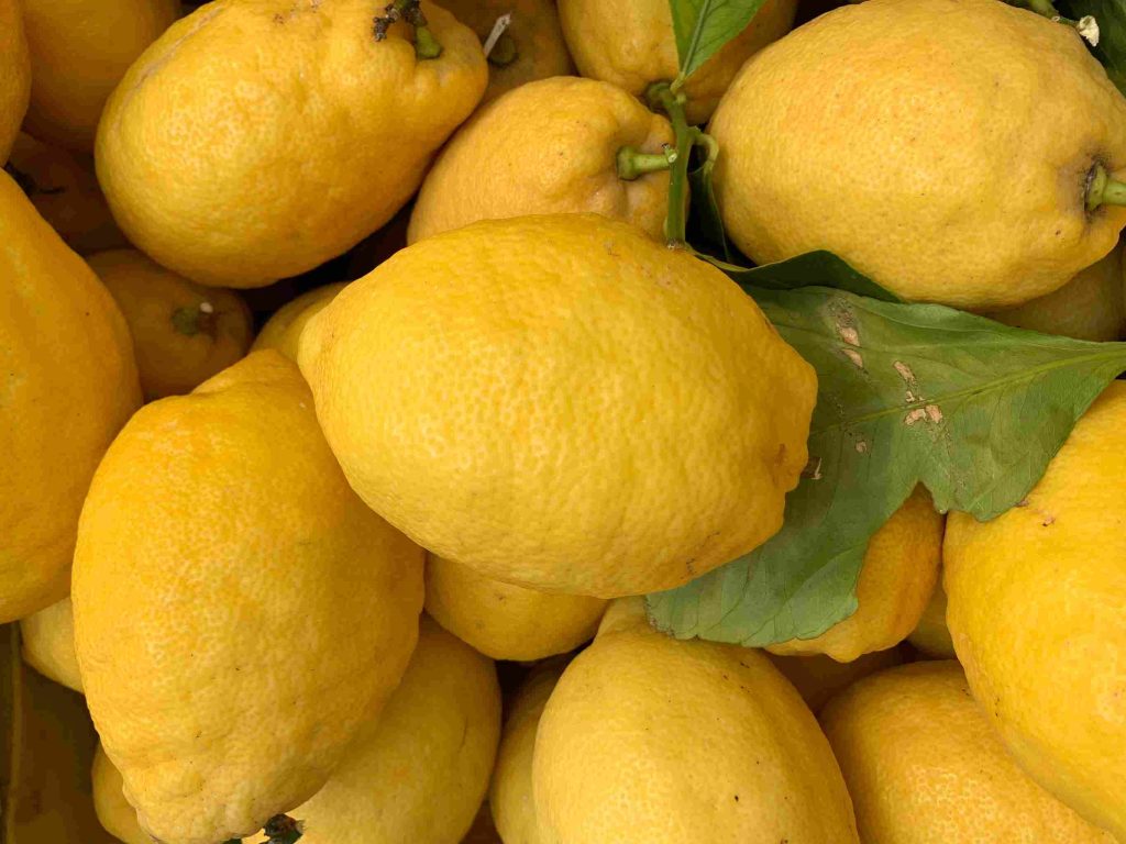 A recipe with Sorrento lemons! 3 A recipe with Sorrento lemons! -