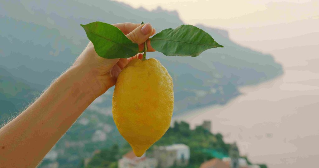 A recipe with Sorrento lemons! 2 A recipe with Sorrento lemons! -