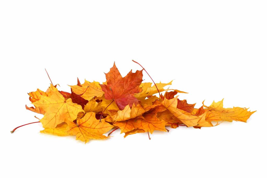 Italian idioms for fall! 1 Italian idioms for fall! -